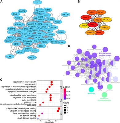 Comprehensive Characterization of a Novel E3-Related Gene Signature With Implications in Prognosis and Immunotherapy of Low-Grade Gliomas